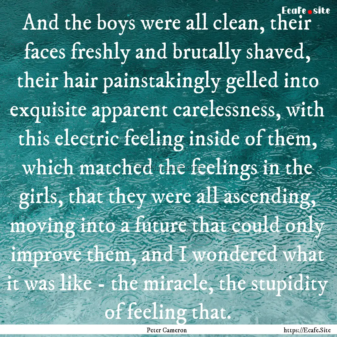 And the boys were all clean, their faces.... : Quote by Peter Cameron