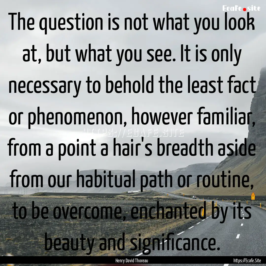 The question is not what you look at, but.... : Quote by Henry David Thoreau