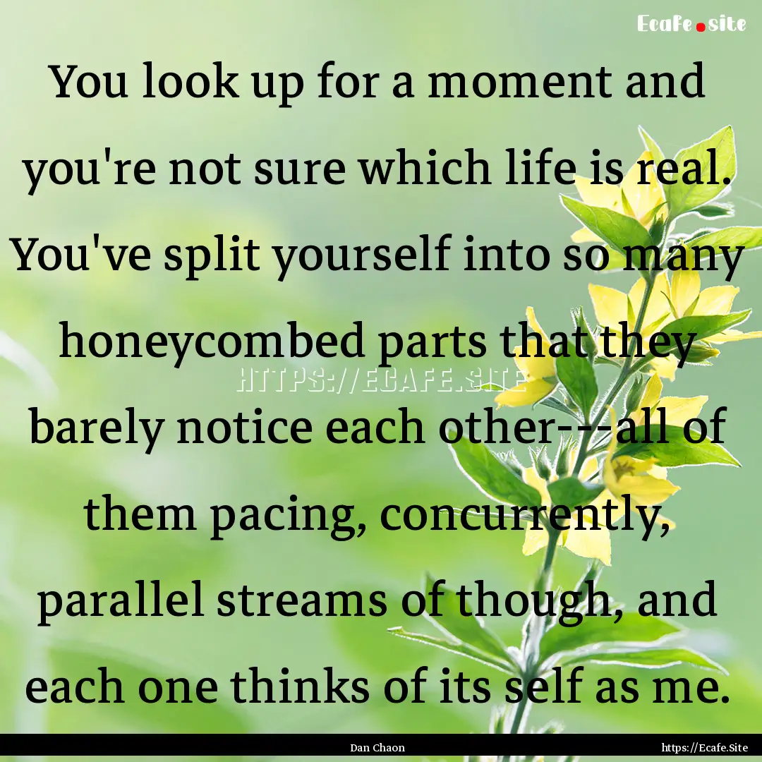 You look up for a moment and you're not sure.... : Quote by Dan Chaon