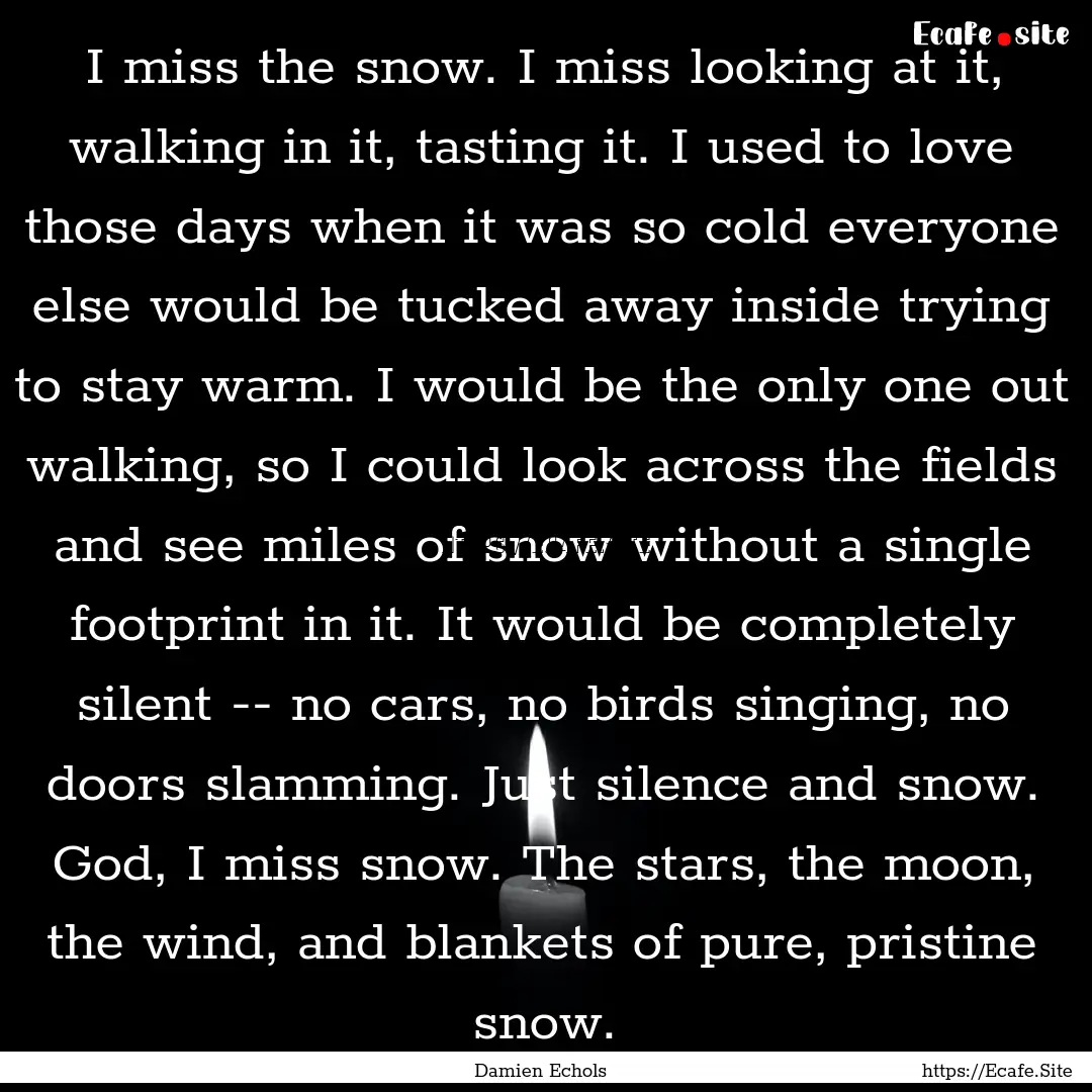 I miss the snow. I miss looking at it, walking.... : Quote by Damien Echols