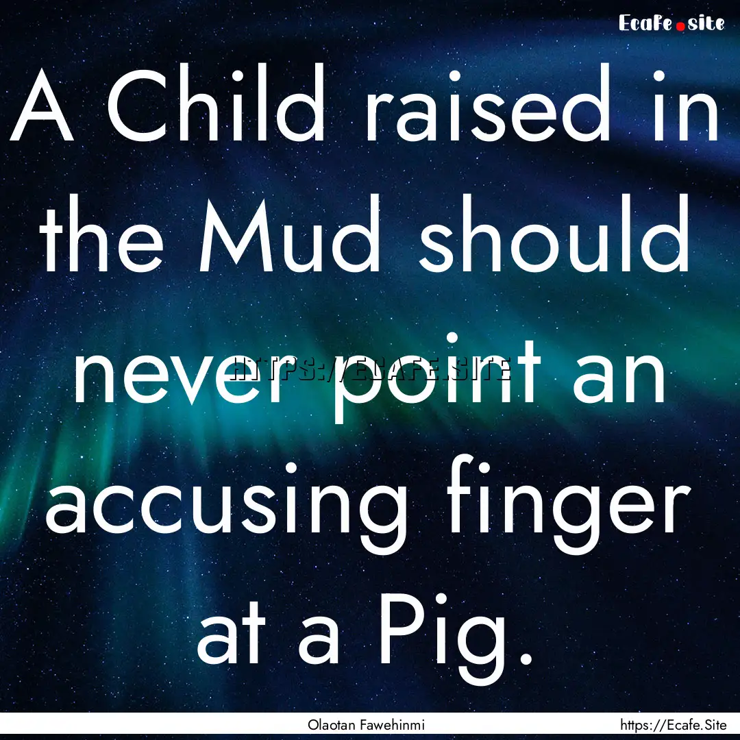 A Child raised in the Mud should never point.... : Quote by Olaotan Fawehinmi