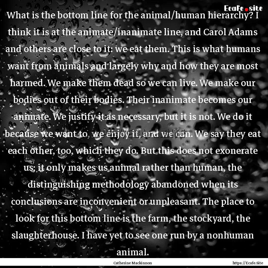 What is the bottom line for the animal/human.... : Quote by Catherine Mackinnon