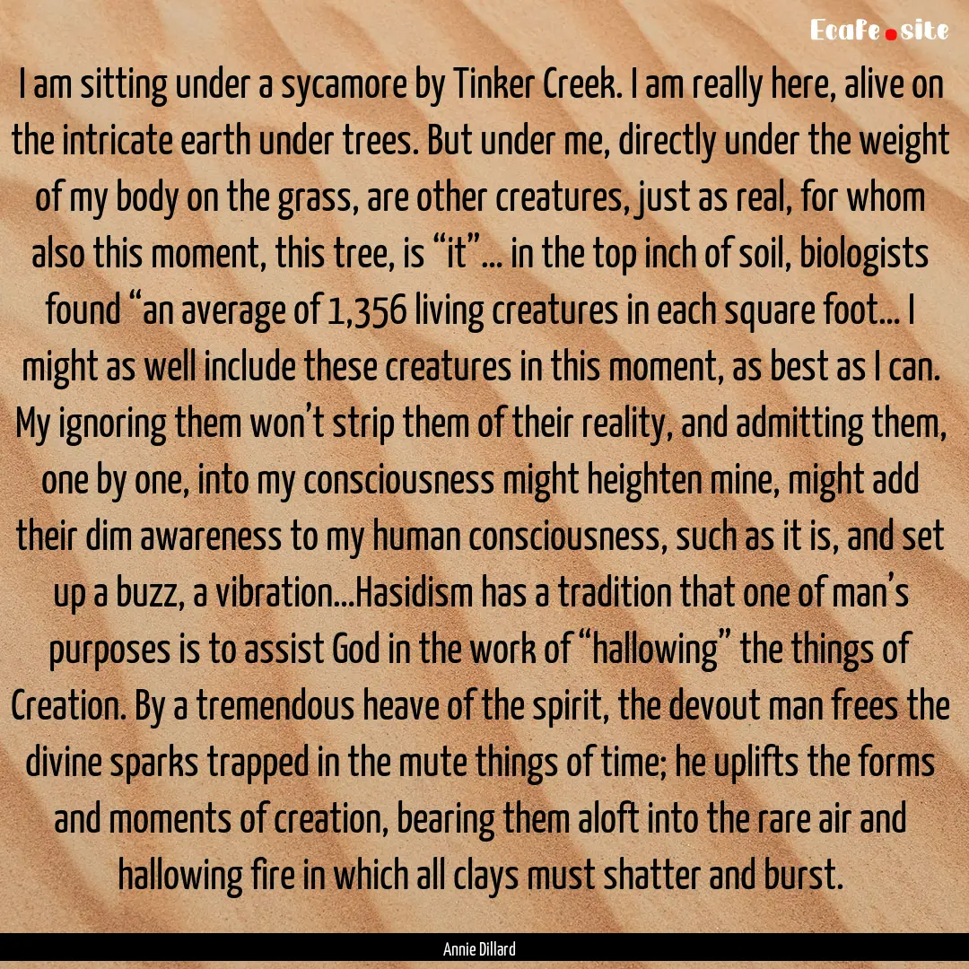 I am sitting under a sycamore by Tinker Creek..... : Quote by Annie Dillard