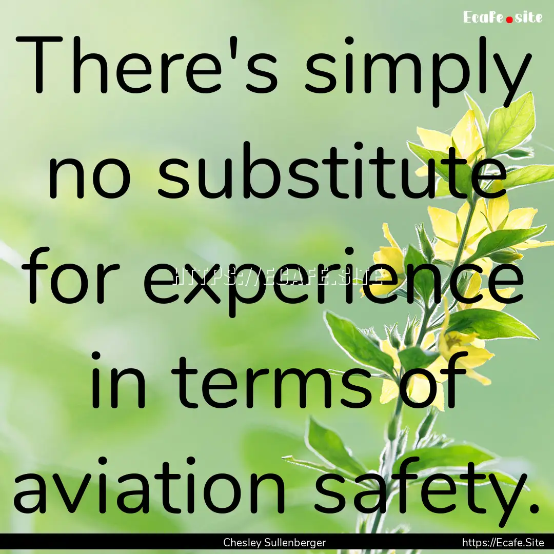 There's simply no substitute for experience.... : Quote by Chesley Sullenberger