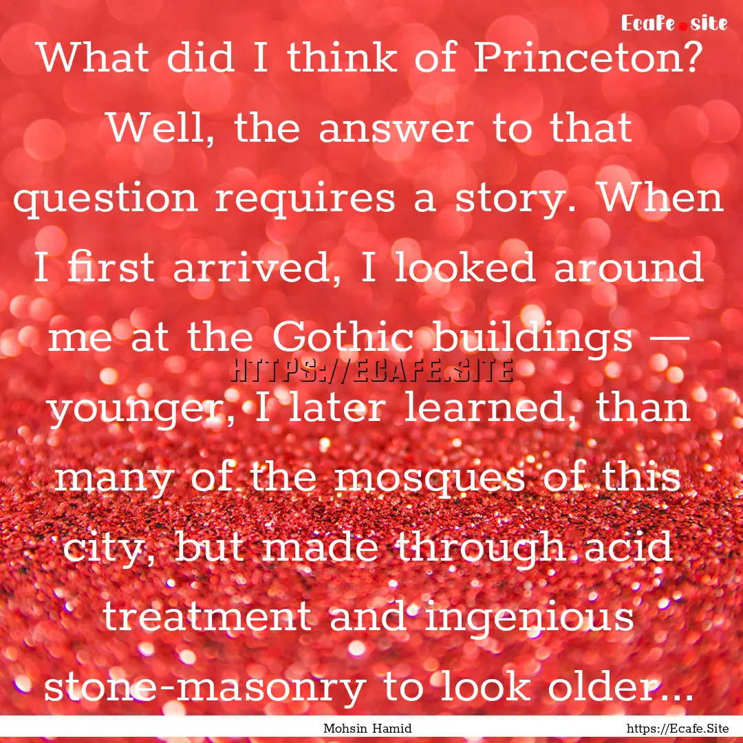 What did I think of Princeton? Well, the.... : Quote by Mohsin Hamid