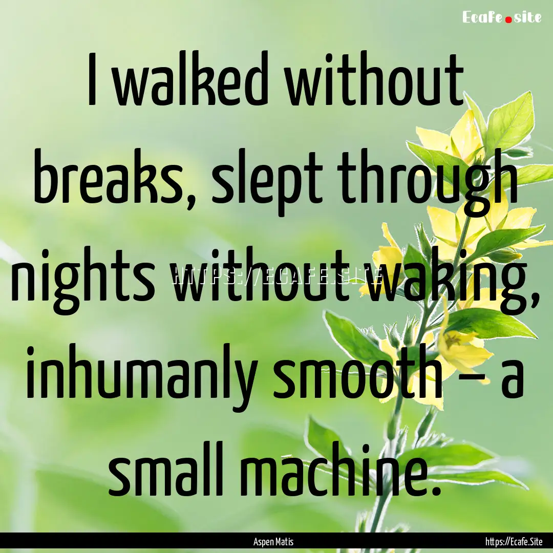 I walked without breaks, slept through nights.... : Quote by Aspen Matis