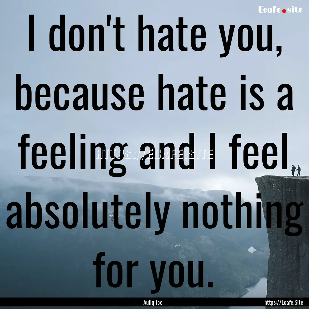 I don't hate you, because hate is a feeling.... : Quote by Auliq Ice