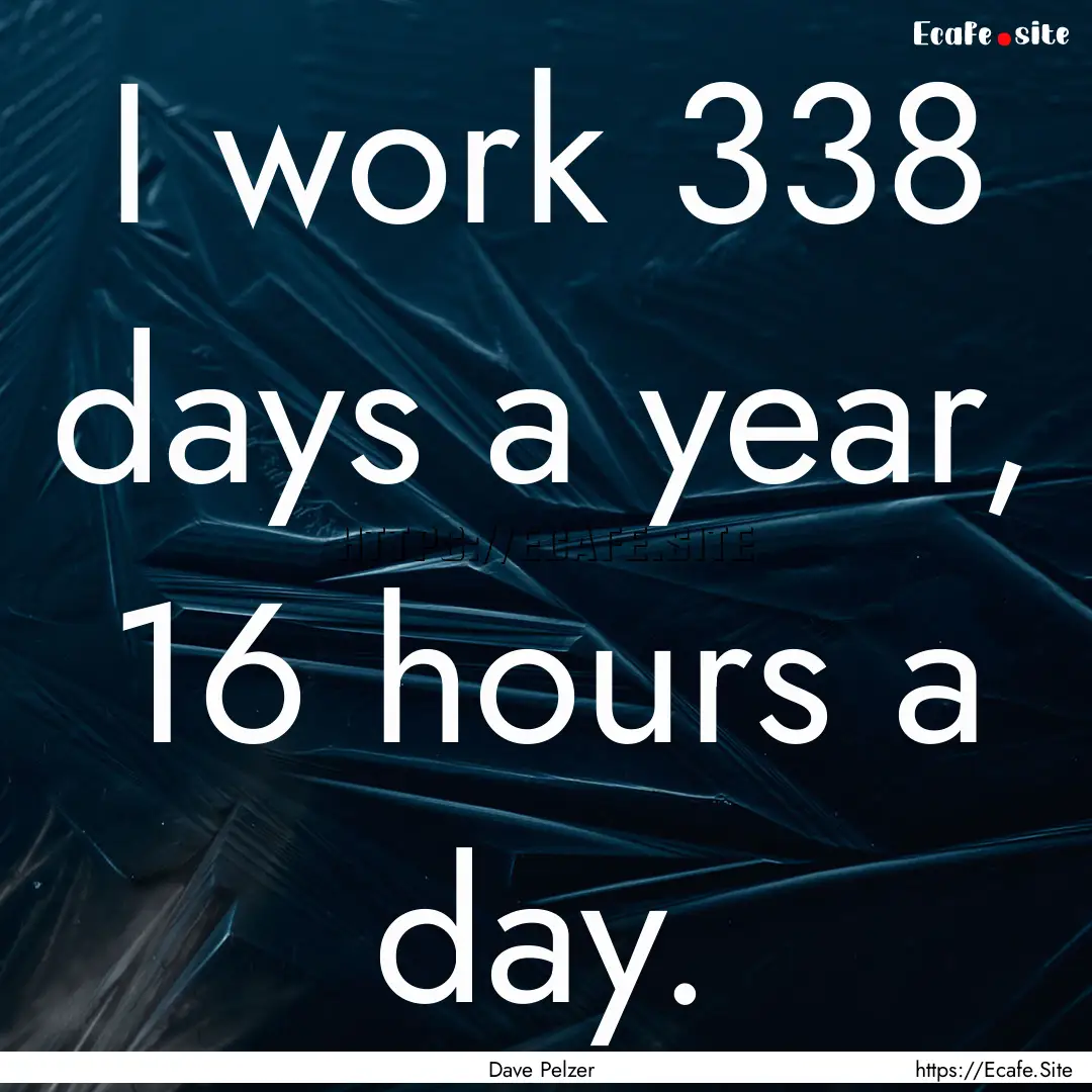 I work 338 days a year, 16 hours a day. : Quote by Dave Pelzer