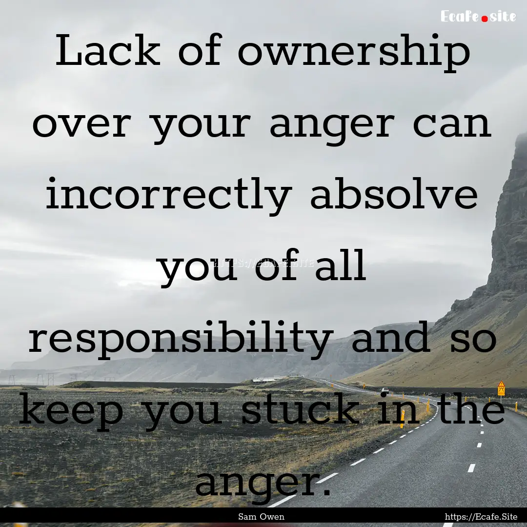 Lack of ownership over your anger can incorrectly.... : Quote by Sam Owen