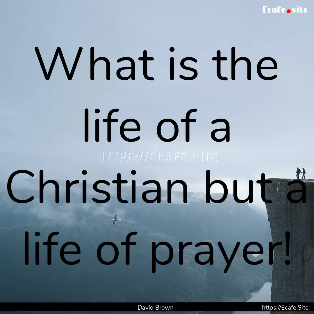 What is the life of a Christian but a life.... : Quote by David Brown