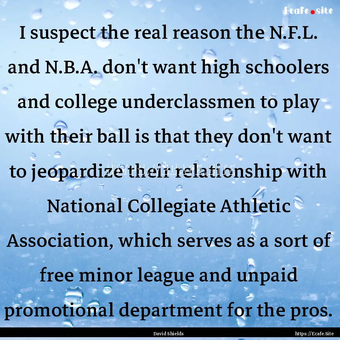 I suspect the real reason the N.F.L. and.... : Quote by David Shields