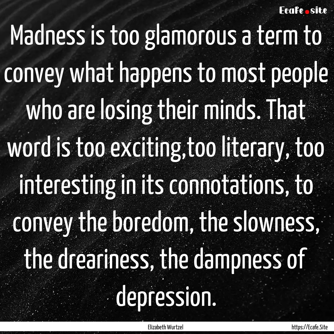 Madness is too glamorous a term to convey.... : Quote by Elizabeth Wurtzel