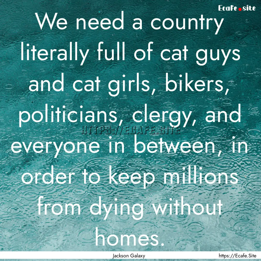 We need a country literally full of cat guys.... : Quote by Jackson Galaxy