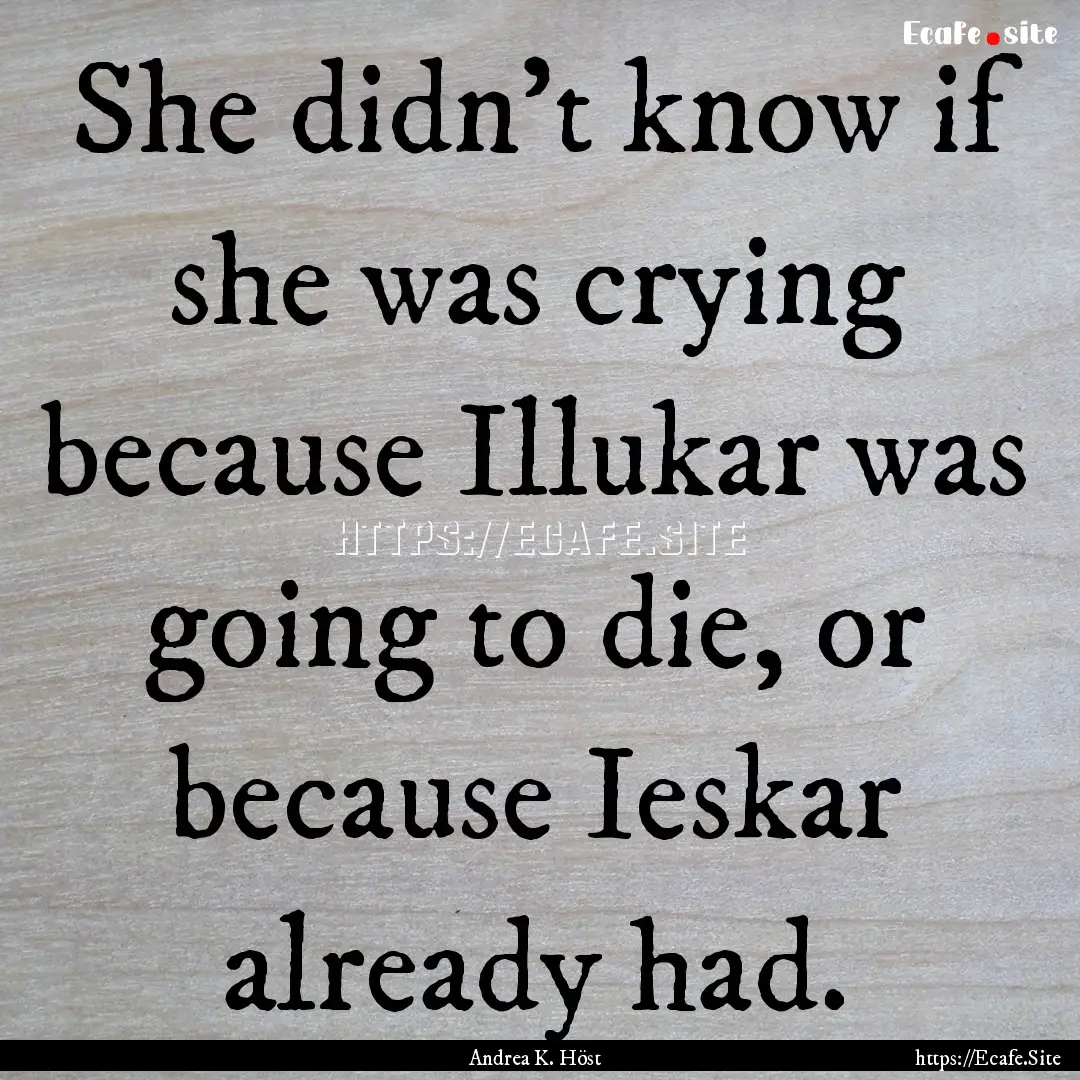 She didn't know if she was crying because.... : Quote by Andrea K. Höst