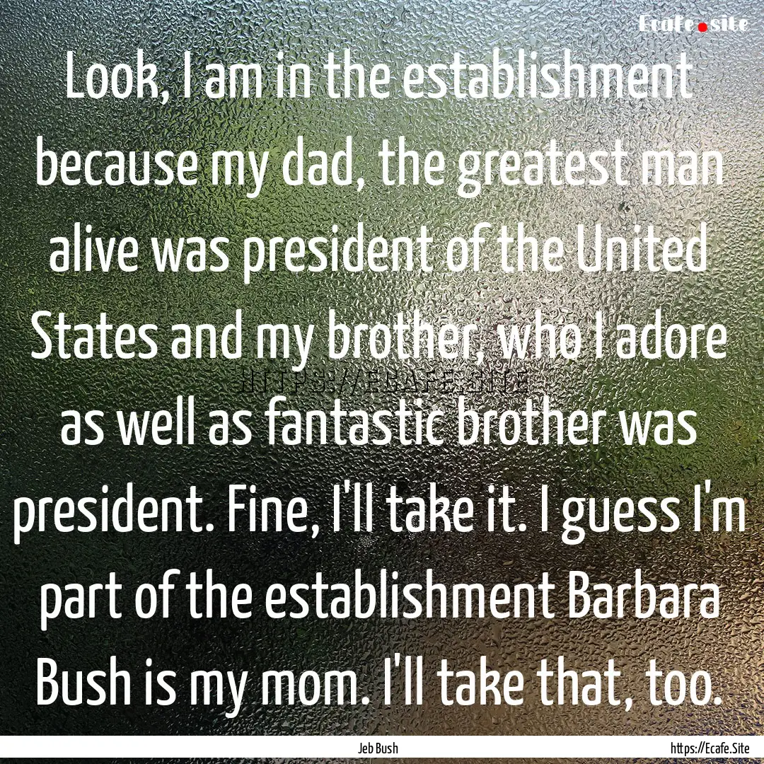 Look, I am in the establishment because my.... : Quote by Jeb Bush