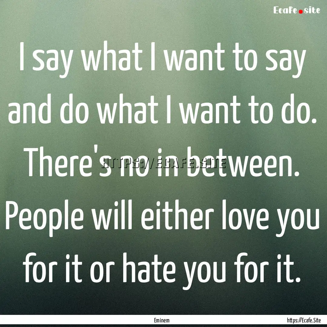 I say what I want to say and do what I want.... : Quote by Eminem