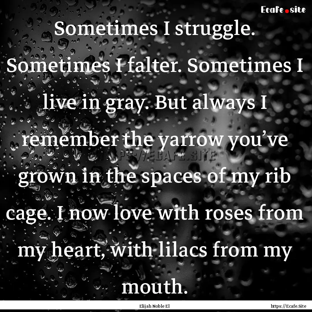 Sometimes I struggle. Sometimes I falter..... : Quote by Elijah Noble El