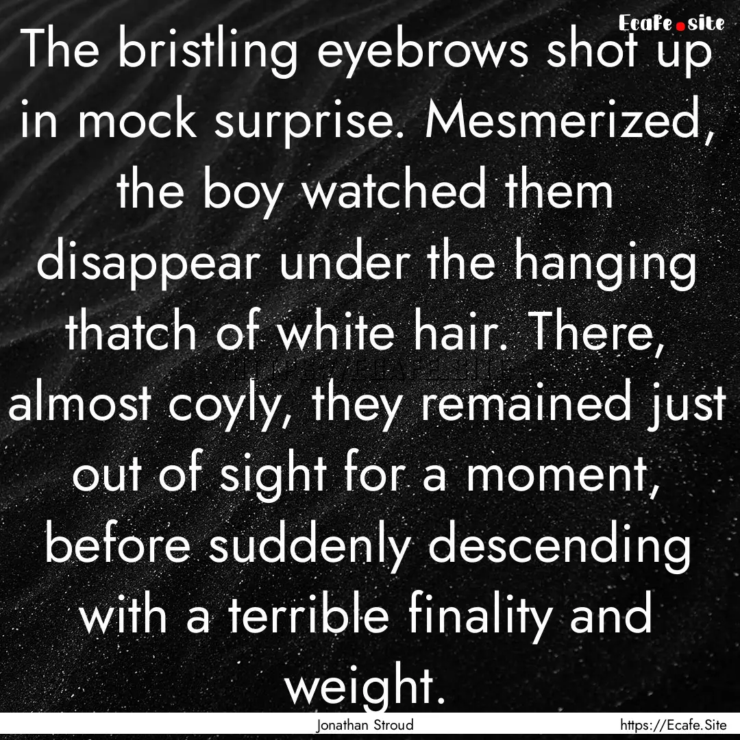 The bristling eyebrows shot up in mock surprise..... : Quote by Jonathan Stroud