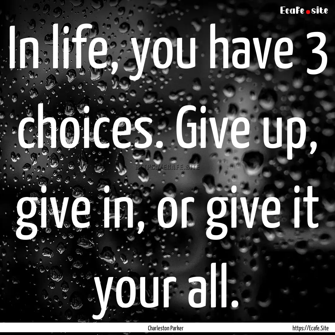 In life, you have 3 choices. Give up, give.... : Quote by Charleston Parker