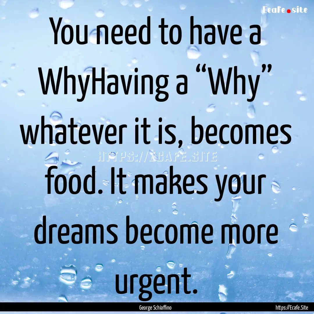 You need to have a WhyHaving a “Why”.... : Quote by George Schiaffino