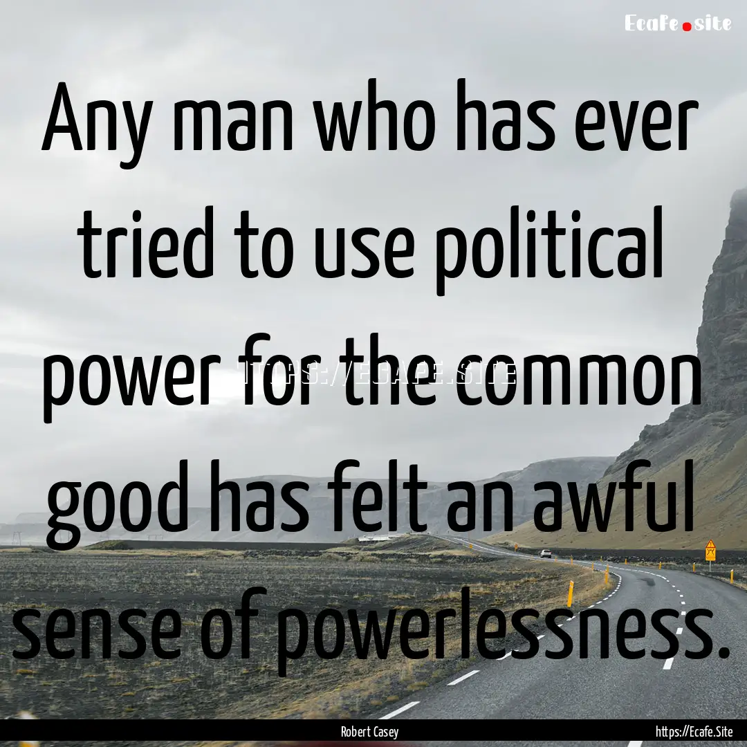 Any man who has ever tried to use political.... : Quote by Robert Casey