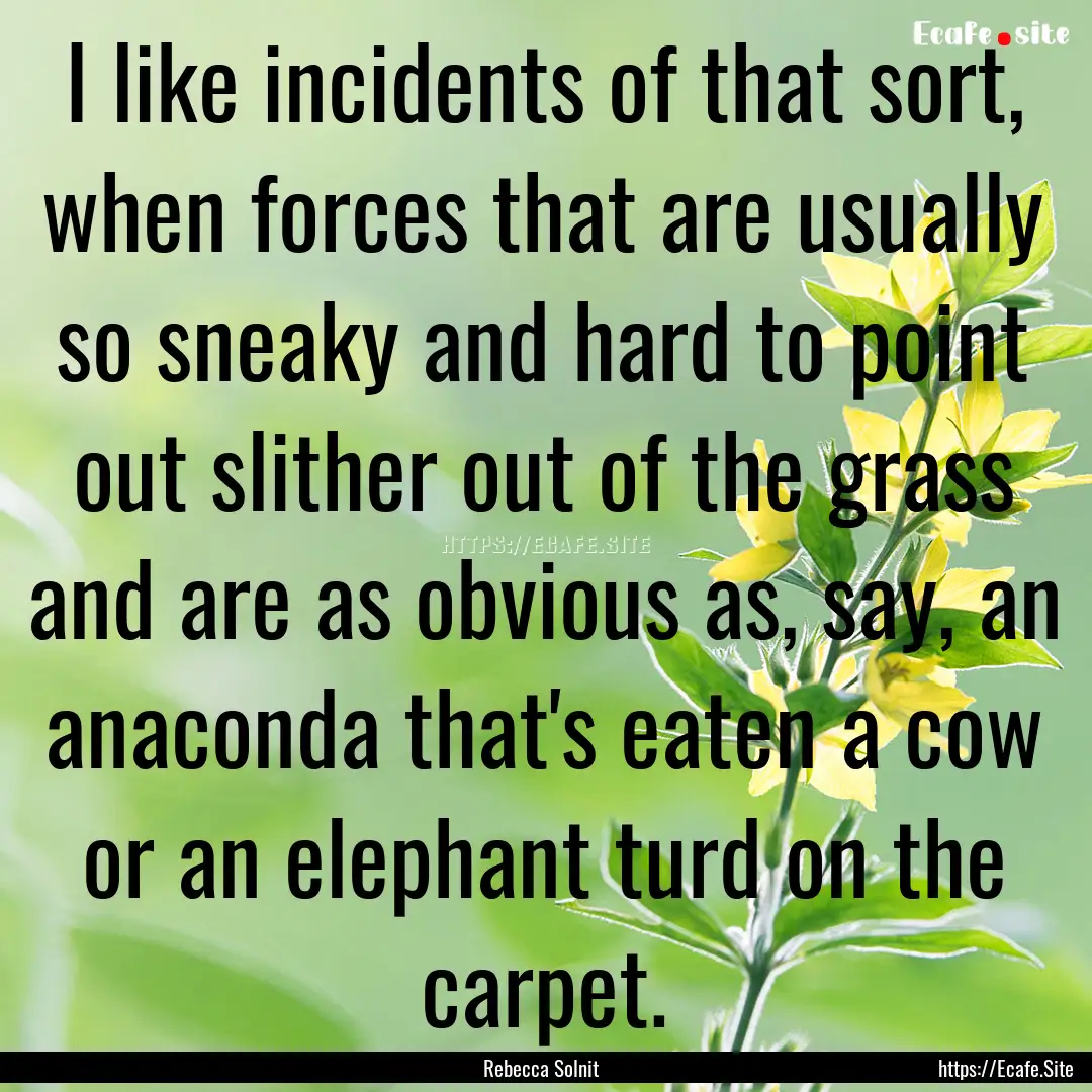 I like incidents of that sort, when forces.... : Quote by Rebecca Solnit