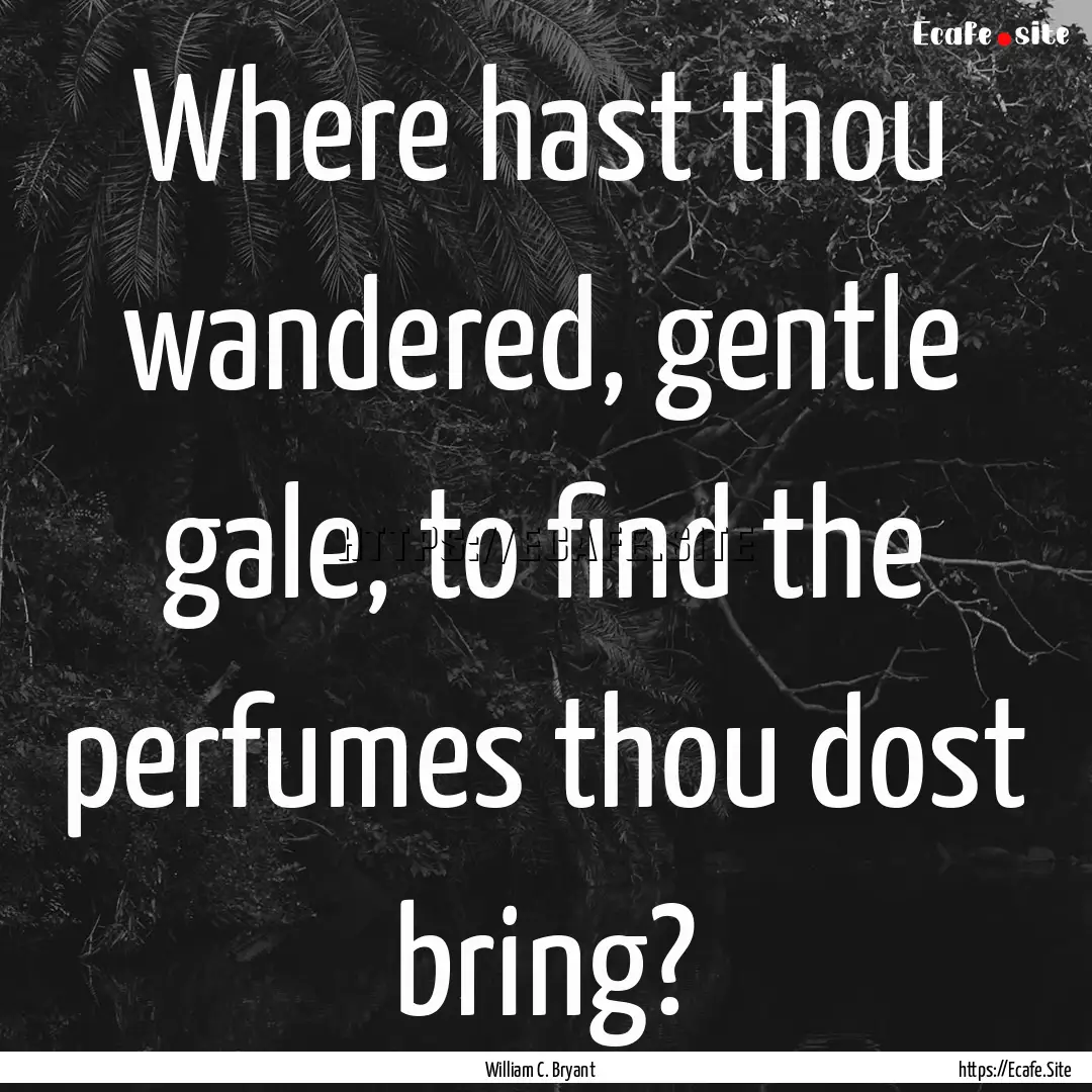 Where hast thou wandered, gentle gale, to.... : Quote by William C. Bryant