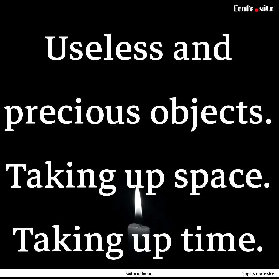 Useless and precious objects. Taking up space..... : Quote by Maira Kalman