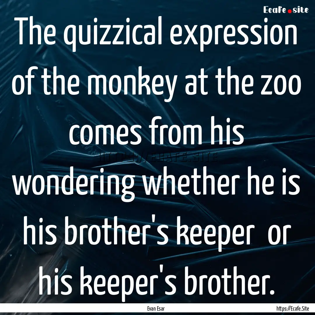 The quizzical expression of the monkey at.... : Quote by Evan Esar