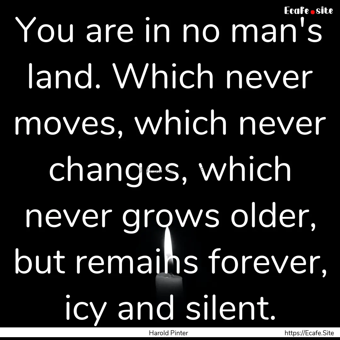 You are in no man's land. Which never moves,.... : Quote by Harold Pinter