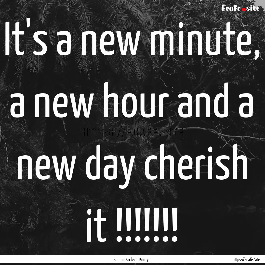 It's a new minute, a new hour and a new day.... : Quote by Bonnie Zackson Koury