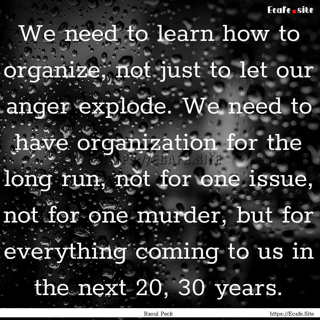 We need to learn how to organize, not just.... : Quote by Raoul Peck