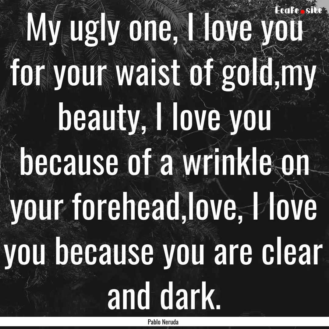 My ugly one, I love you for your waist of.... : Quote by Pablo Neruda