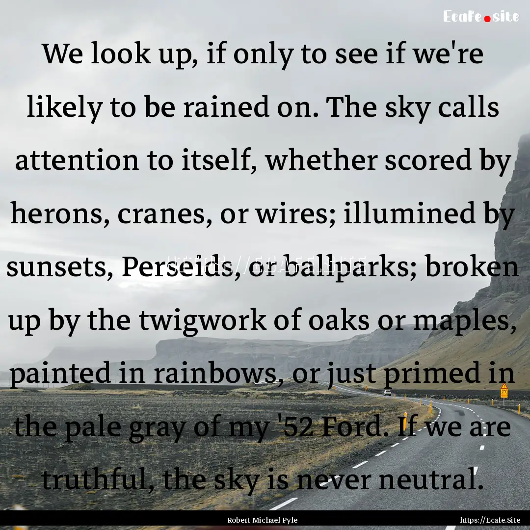 We look up, if only to see if we're likely.... : Quote by Robert Michael Pyle