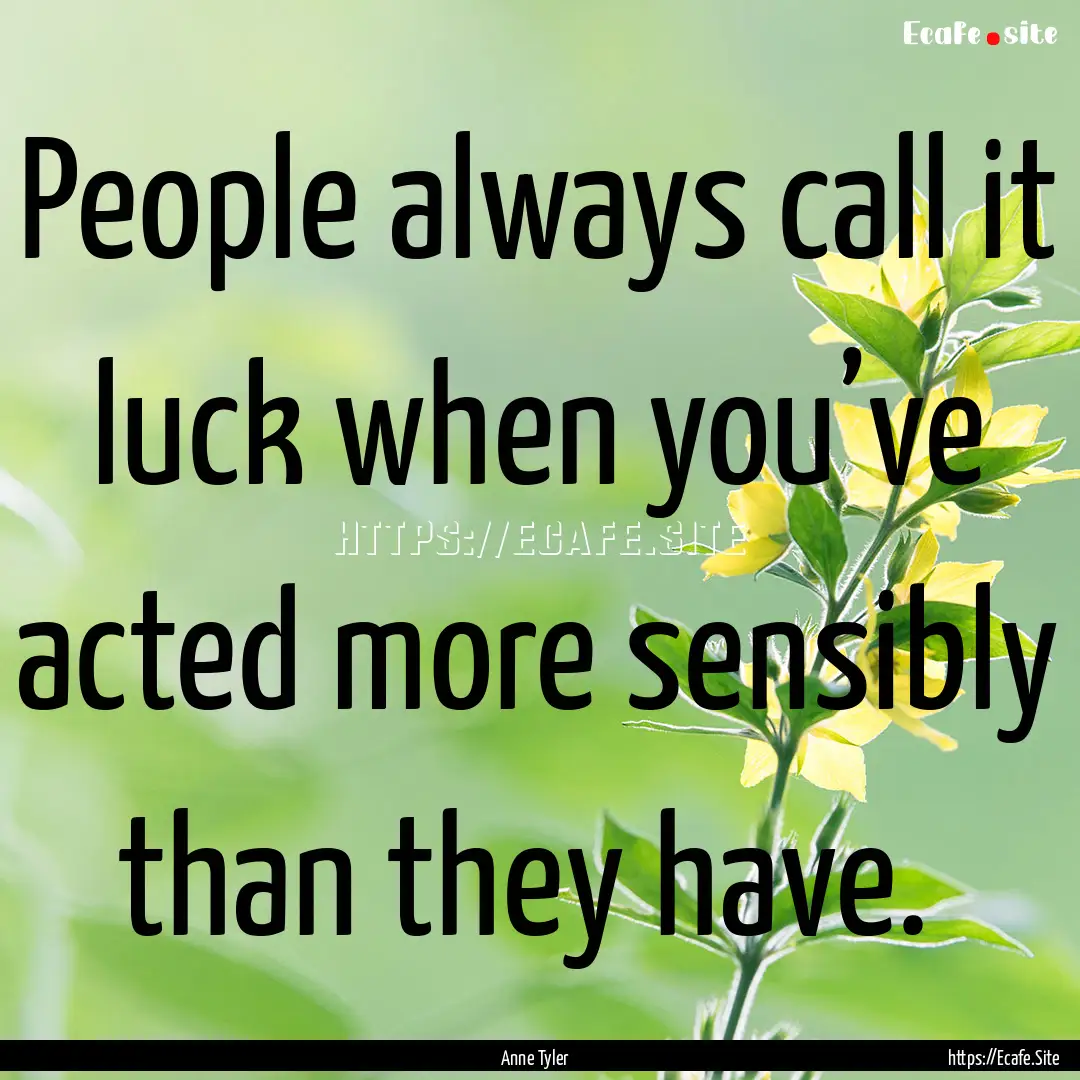 People always call it luck when you’ve.... : Quote by Anne Tyler