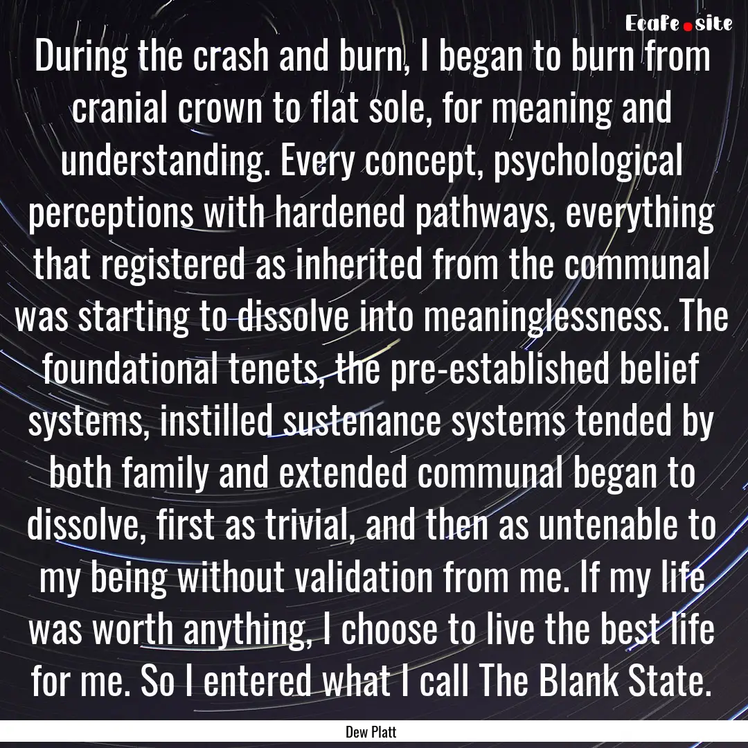 During the crash and burn, I began to burn.... : Quote by Dew Platt