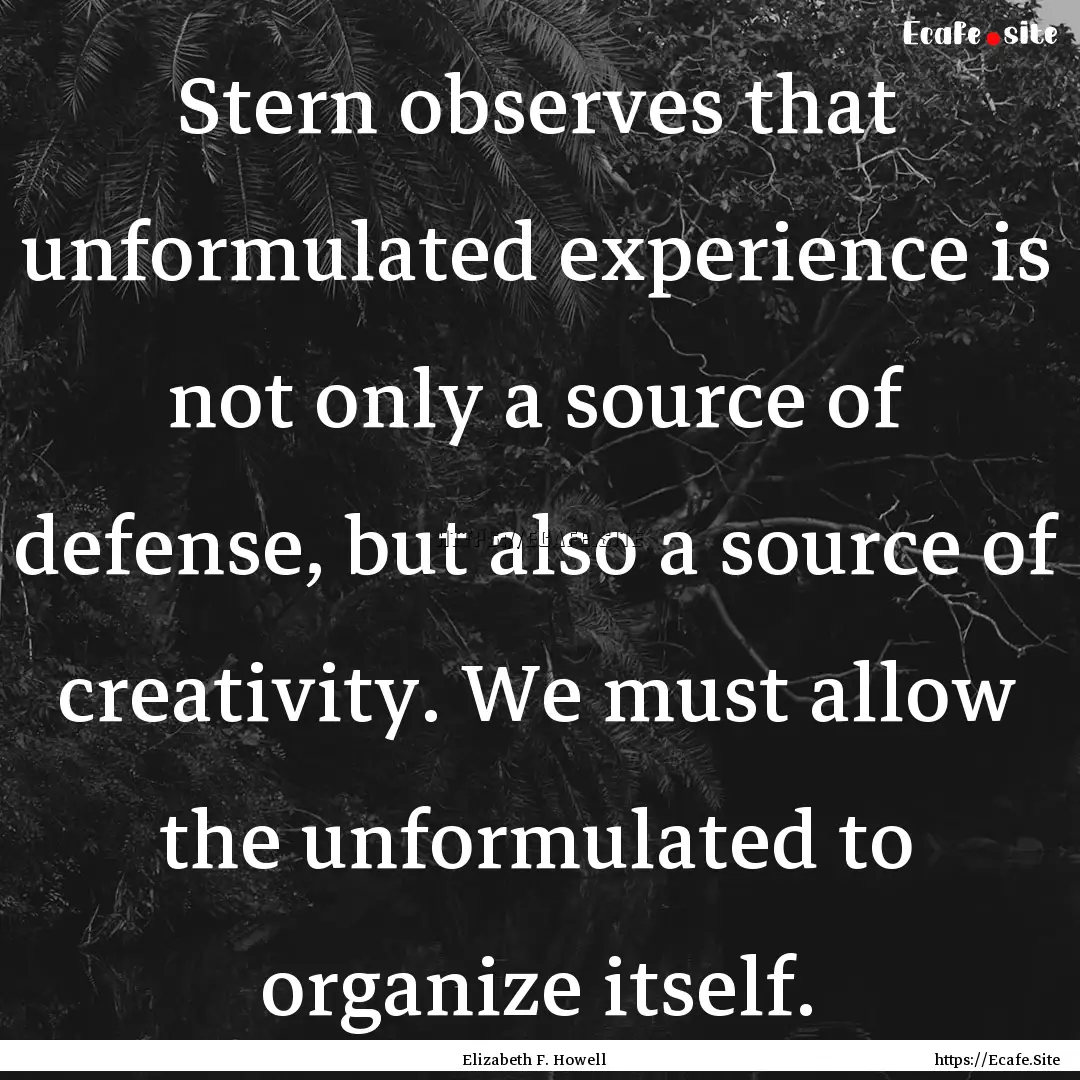 Stern observes that unformulated experience.... : Quote by Elizabeth F. Howell