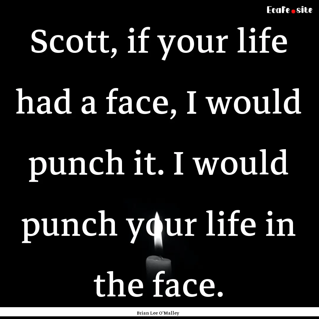 Scott, if your life had a face, I would punch.... : Quote by Brian Lee O'Malley