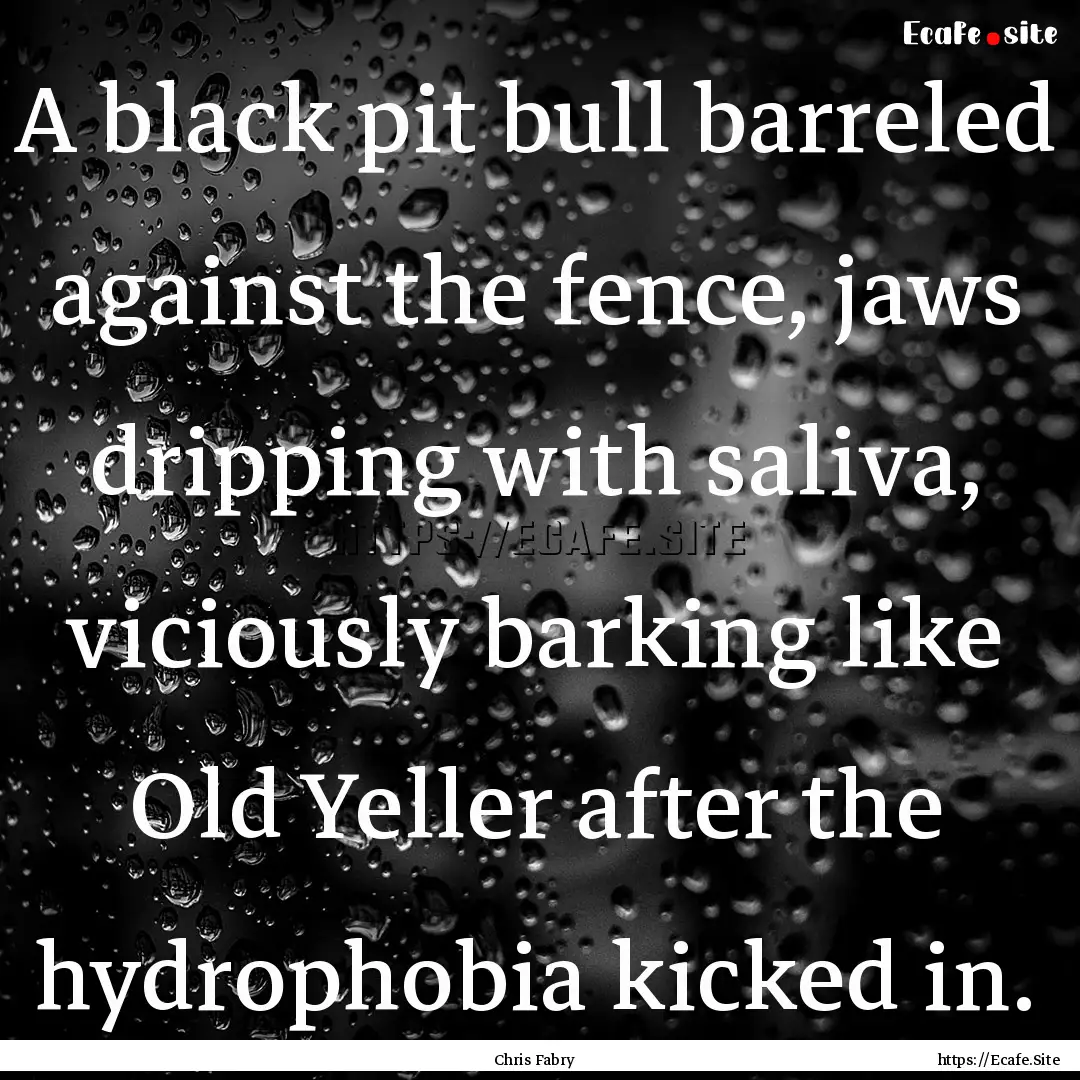 A black pit bull barreled against the fence,.... : Quote by Chris Fabry