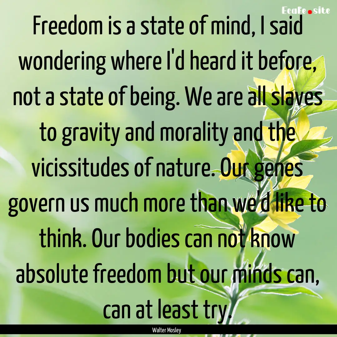 Freedom is a state of mind, I said wondering.... : Quote by Walter Mosley