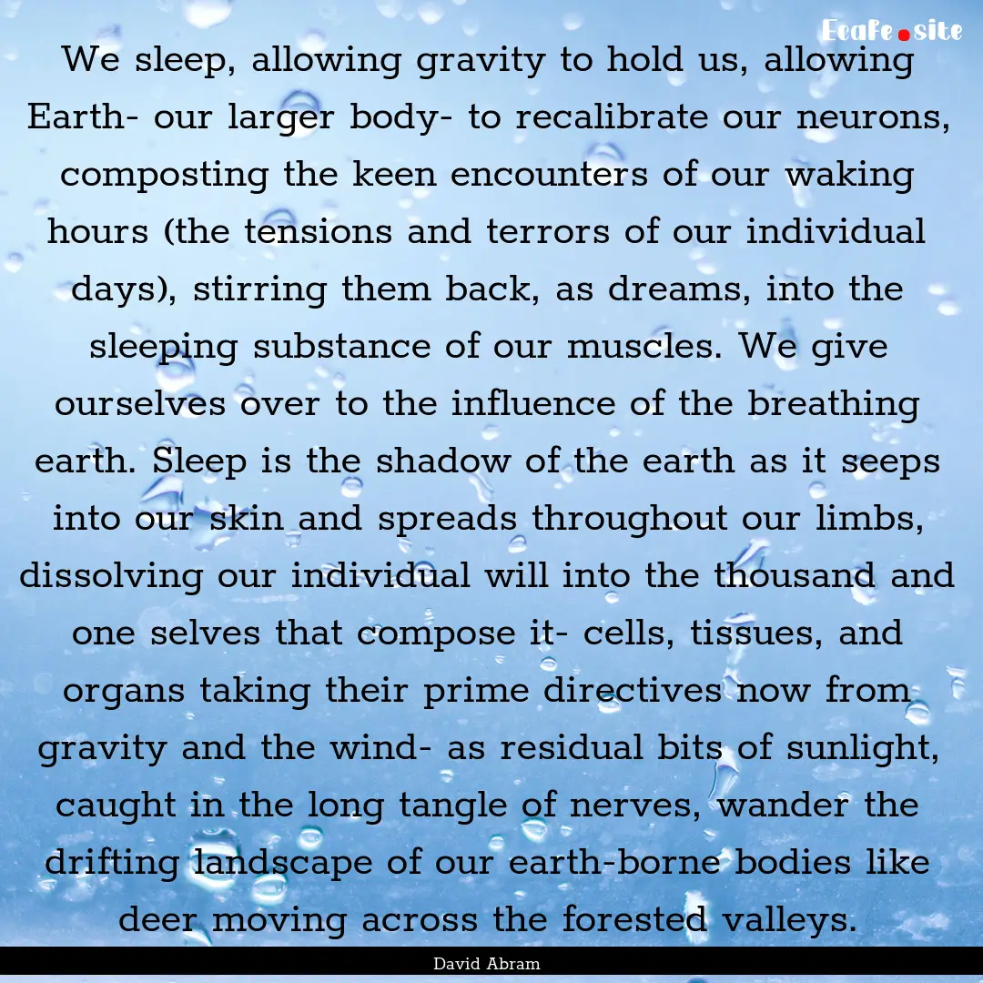 We sleep, allowing gravity to hold us, allowing.... : Quote by David Abram