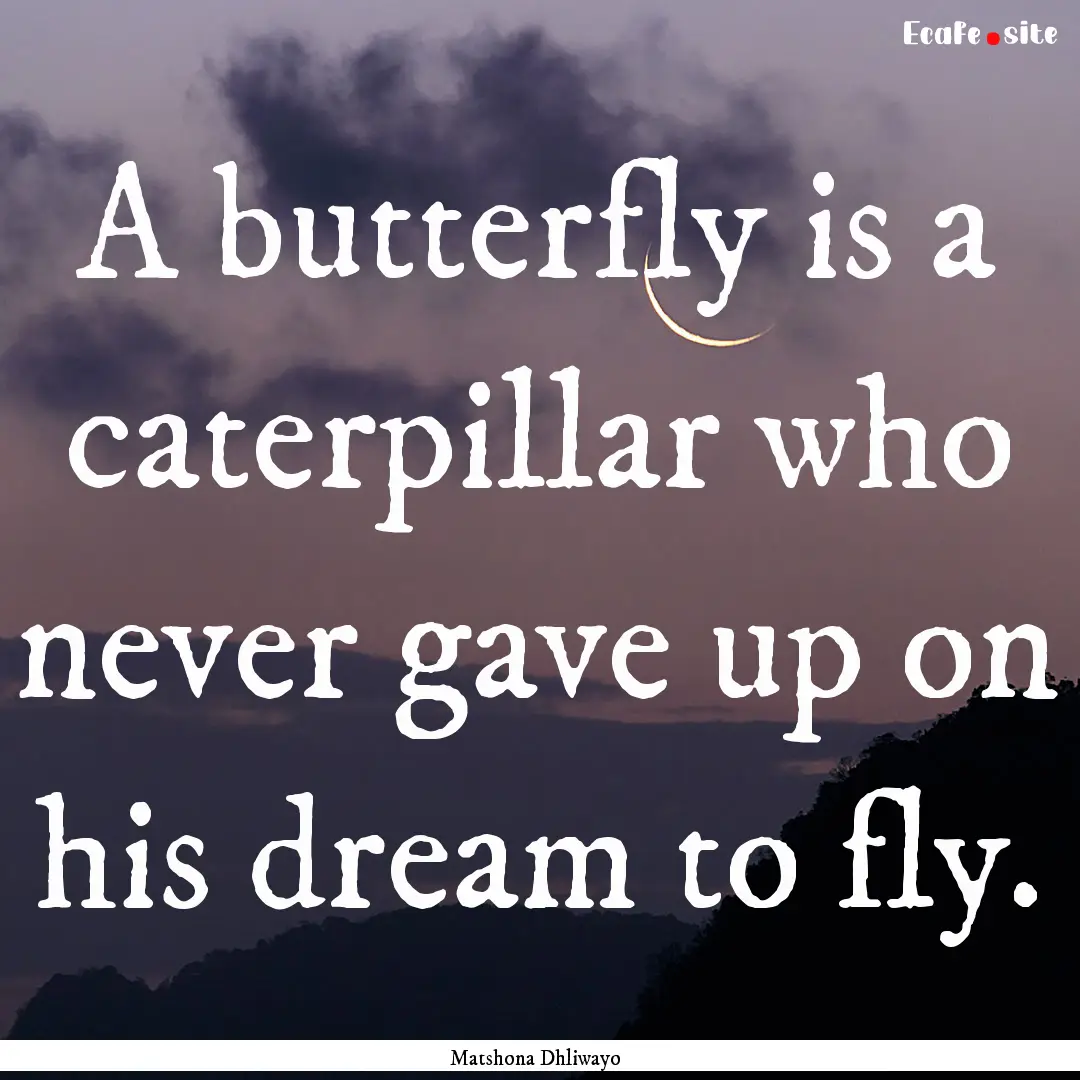 A butterfly is a caterpillar who never gave.... : Quote by Matshona Dhliwayo