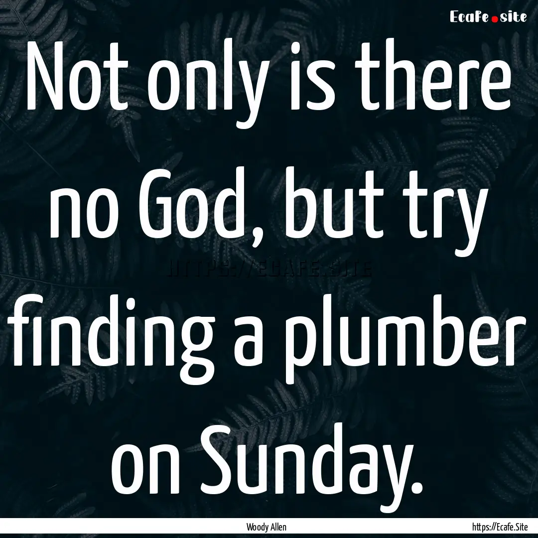 Not only is there no God, but try finding.... : Quote by Woody Allen