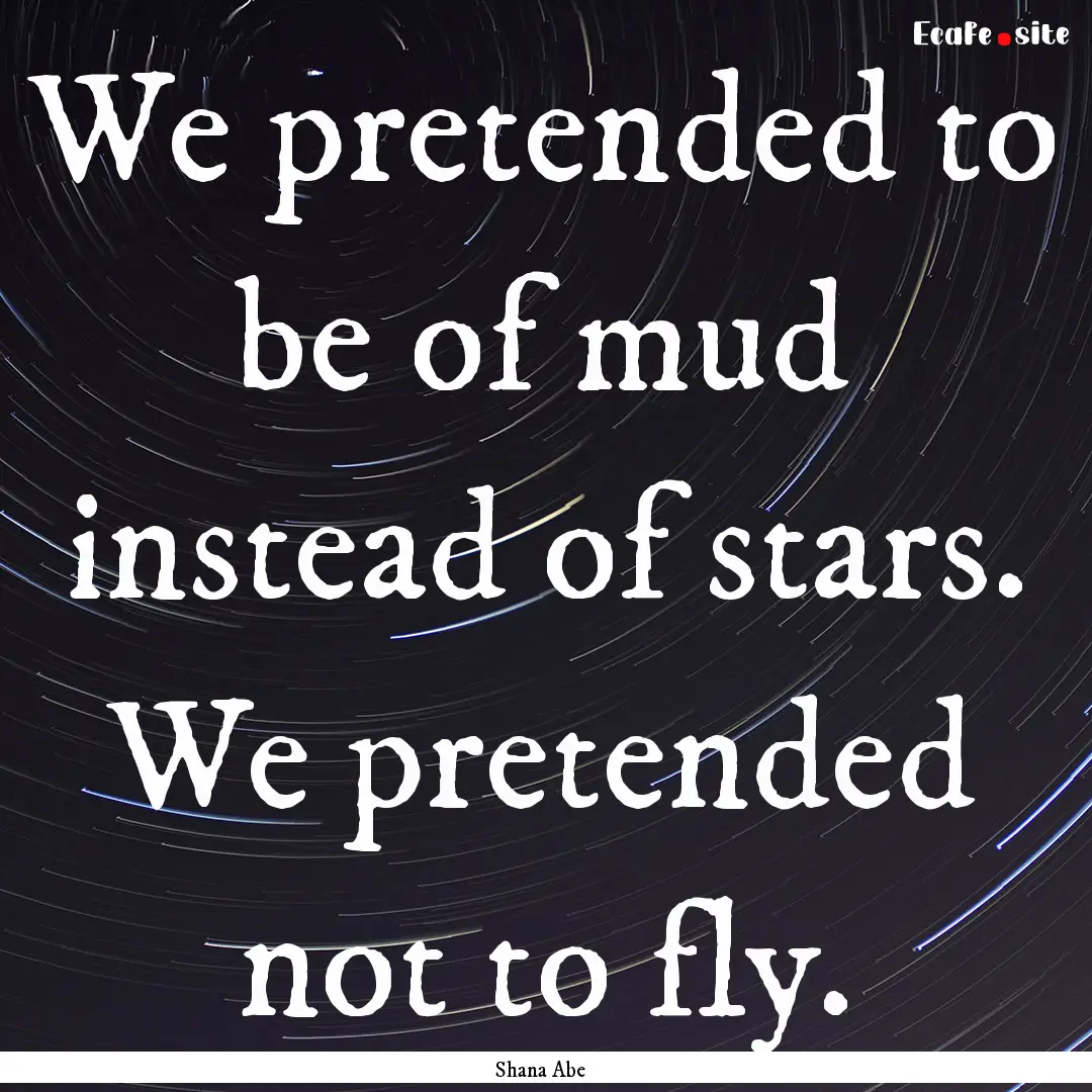 We pretended to be of mud instead of stars..... : Quote by Shana Abe