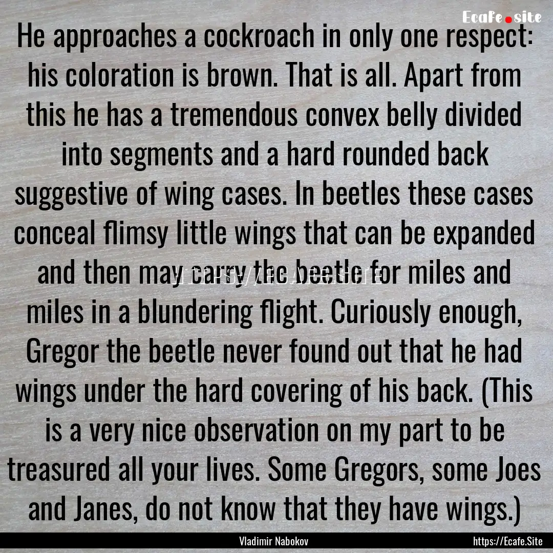 He approaches a cockroach in only one respect:.... : Quote by Vladimir Nabokov