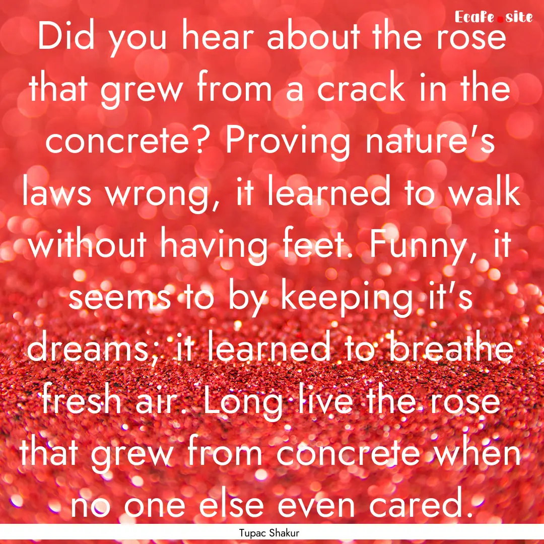 Did you hear about the rose that grew from.... : Quote by Tupac Shakur