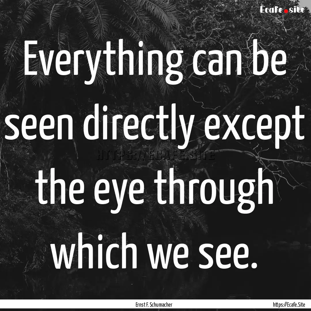 Everything can be seen directly except the.... : Quote by Ernst F. Schumacher