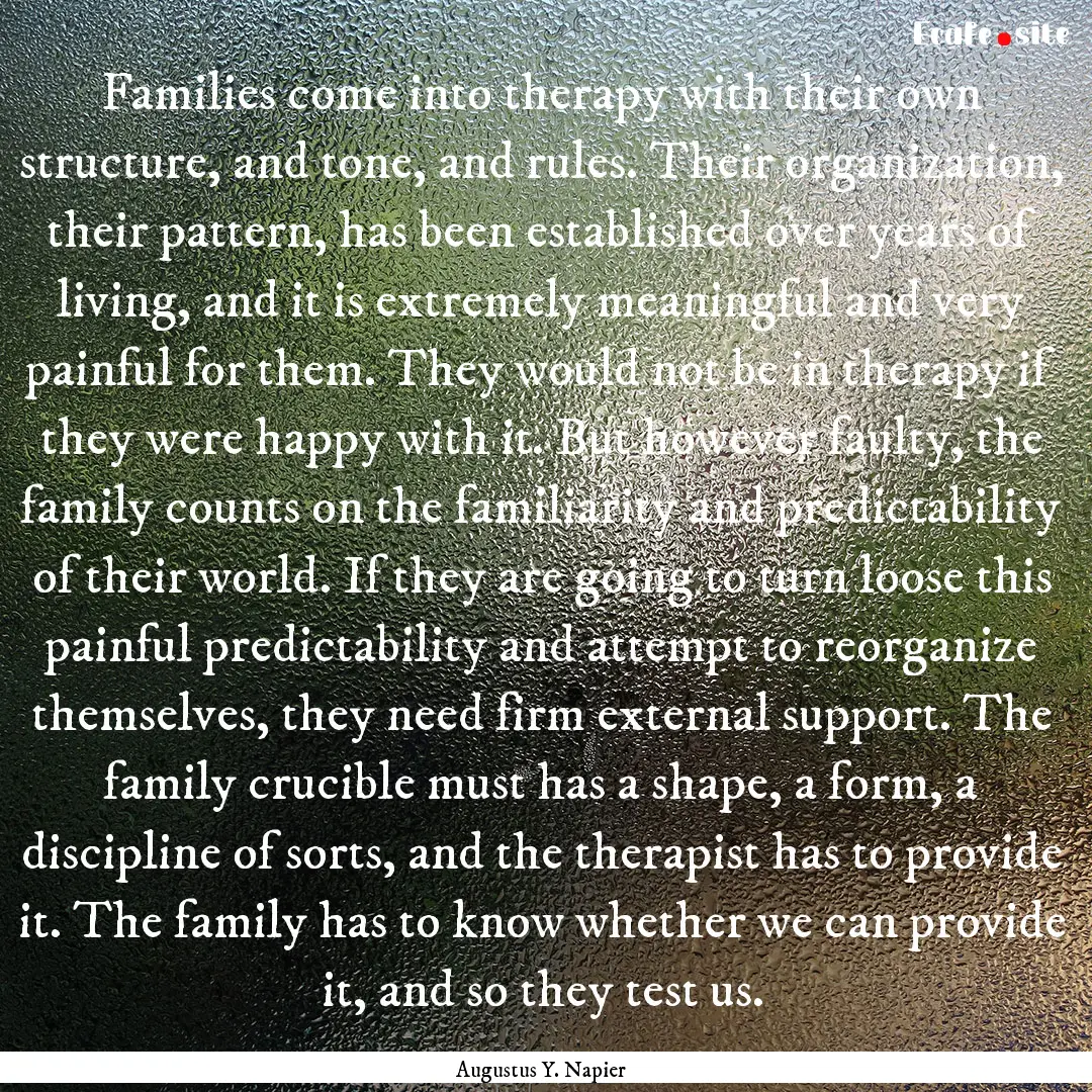 Families come into therapy with their own.... : Quote by Augustus Y. Napier