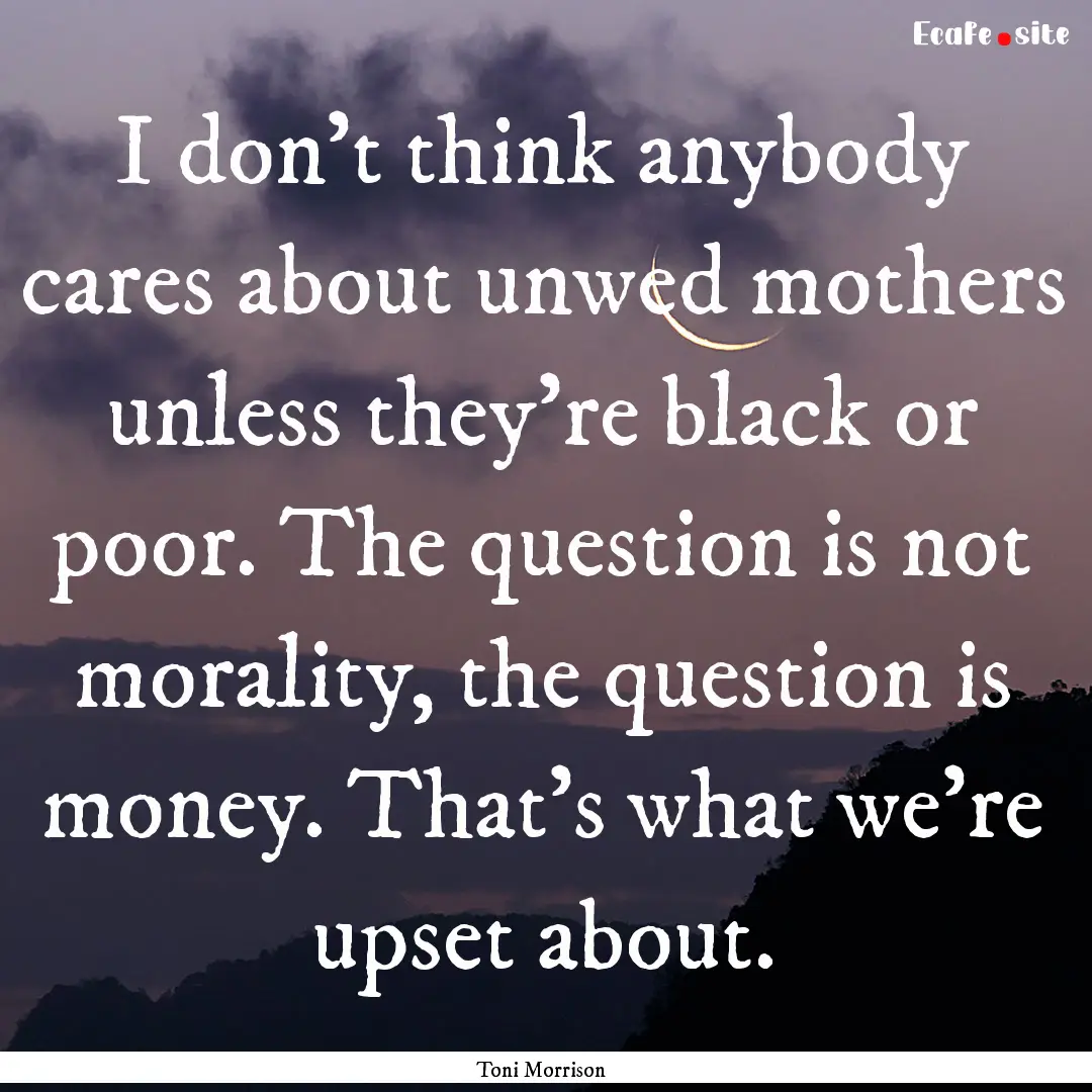 I don't think anybody cares about unwed mothers.... : Quote by Toni Morrison