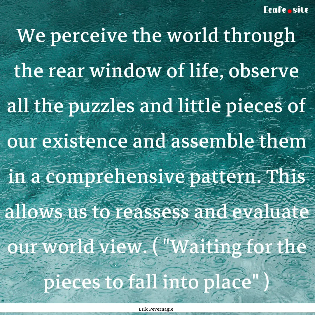 We perceive the world through the rear window.... : Quote by Erik Pevernagie